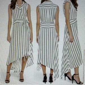 Bardot Asymmetrical Striped Dress in Black and White